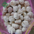 chinese garlic fresh / garlic price 2018